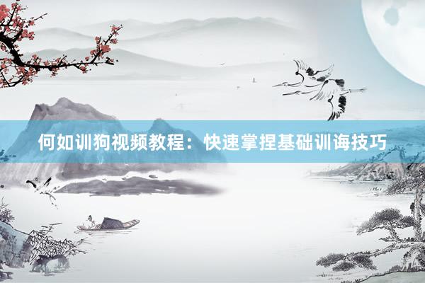 何如训狗视频教程：快速掌捏基础训诲技巧